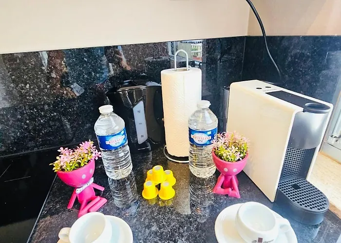 With Outdoor Vibes- Mont24 *